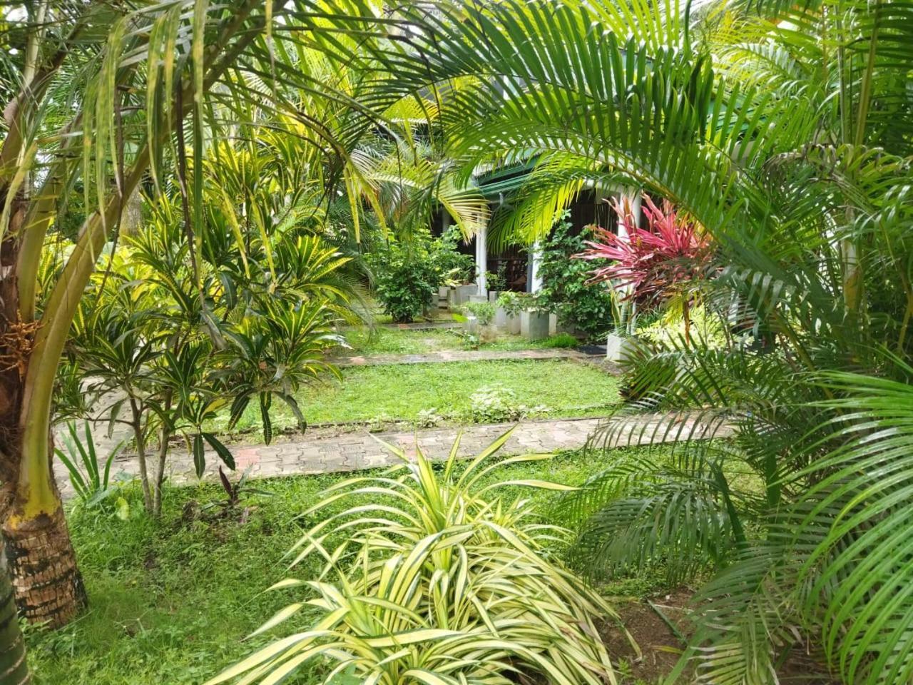 Lion Paradise Surf Beach Матара Экстерьер фото
